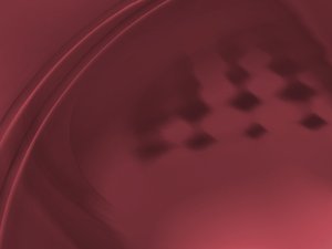 合同管理